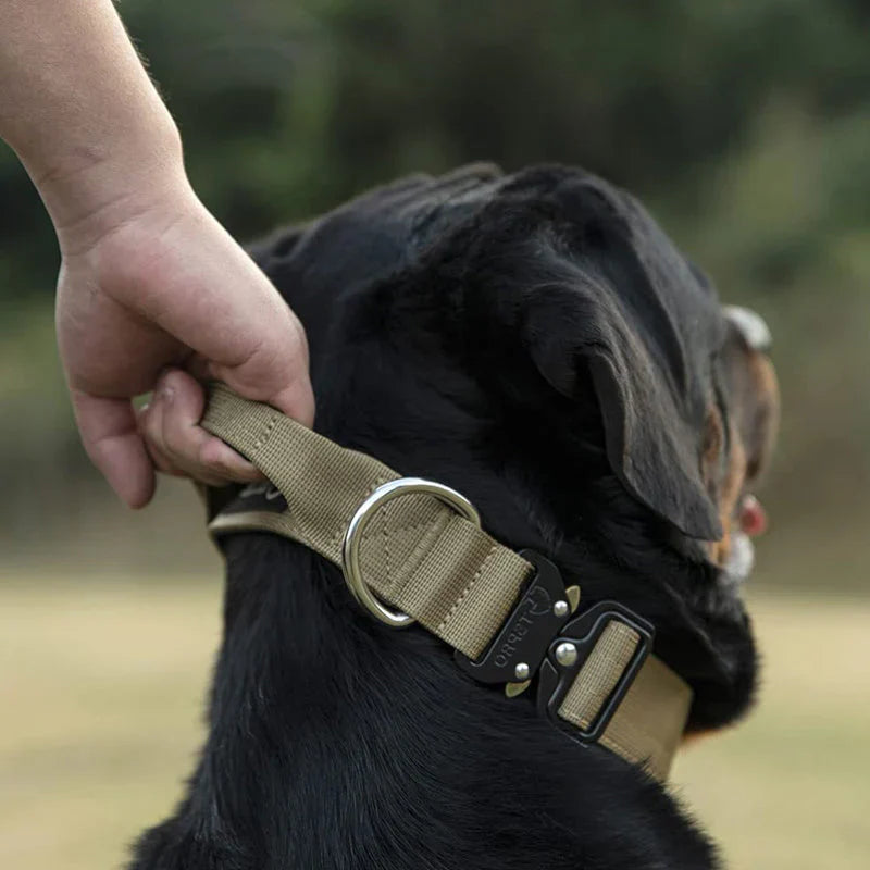 Tactical Dog Collar with Handle – GripMaster