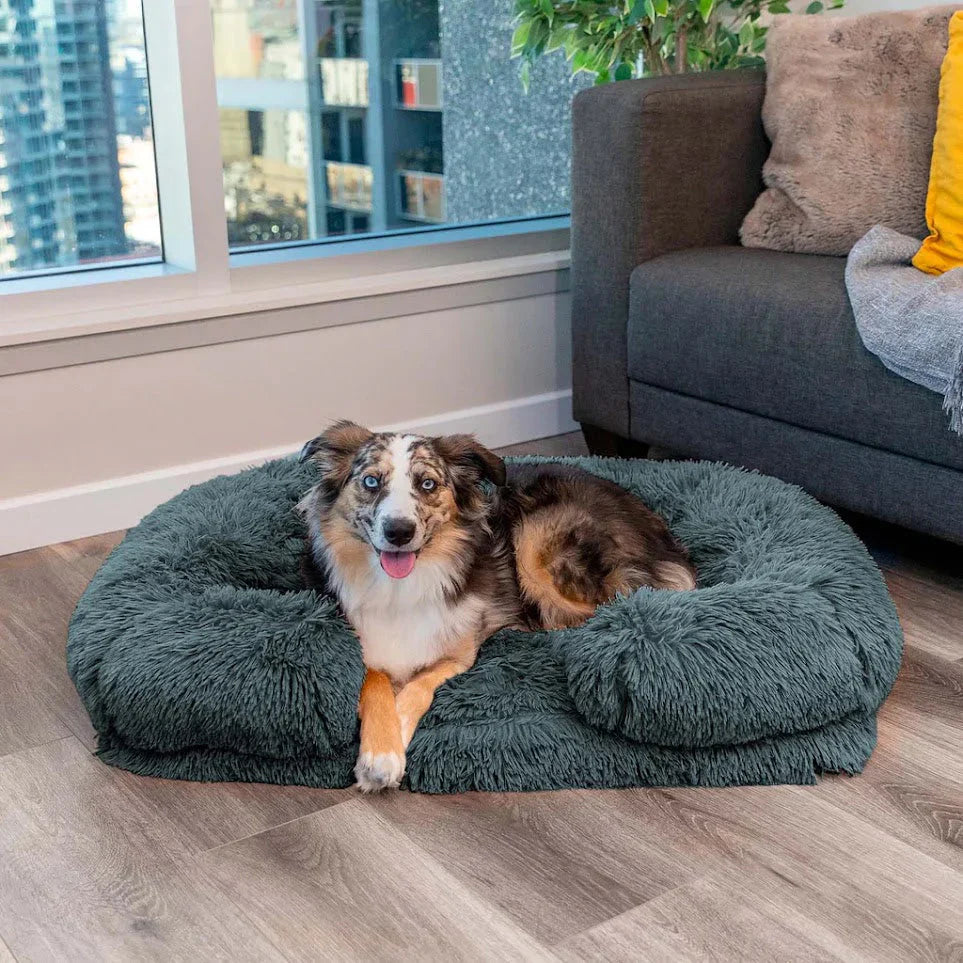DreamPaw Orthopedic Dog Bed – The Perfect Sleeping Spot for Your Furry Friend