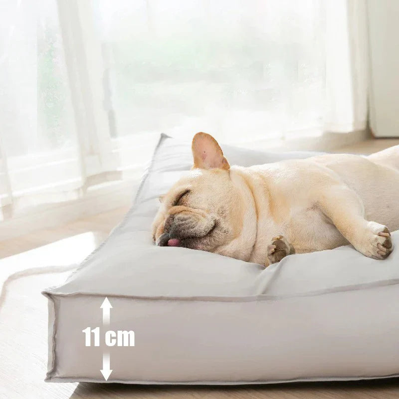 Orthopedic Dog Bed – RelaxPfote Comfort