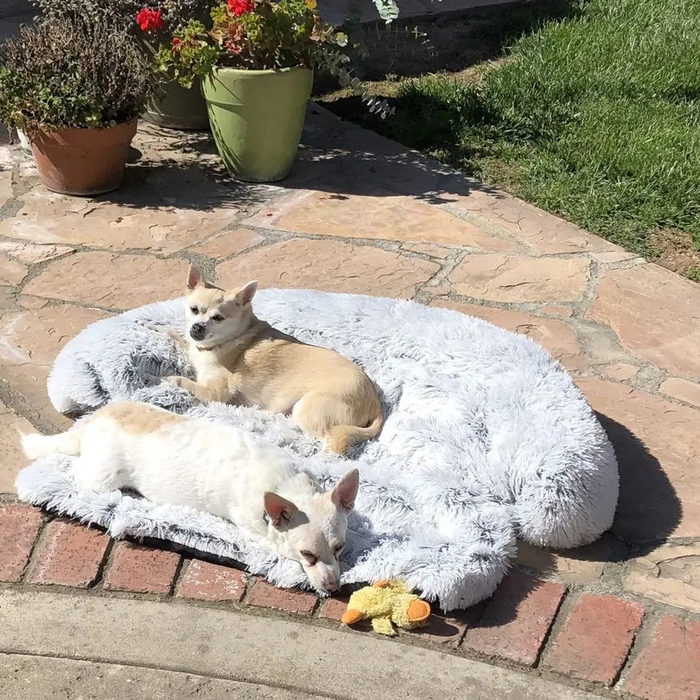 CozyPaws Washable Pet Sofa Blanket