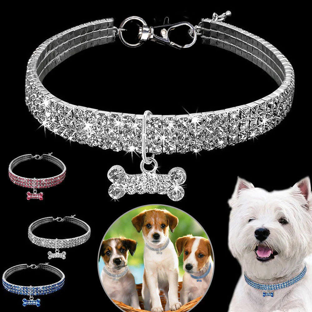 Glamorous Pet Collar – SparkleCollar