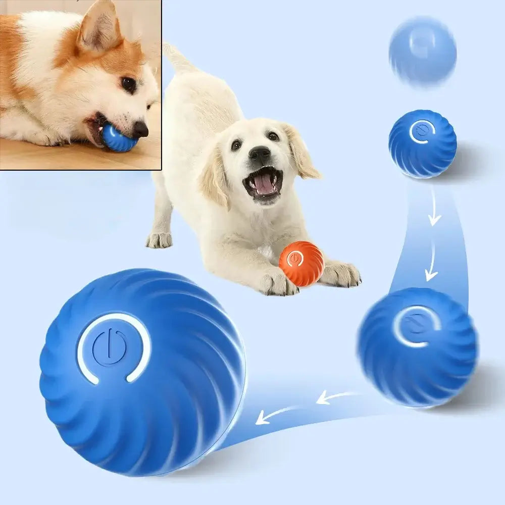 GlowBounce™ – Smart, Self-Playing Toy for Small Dogs