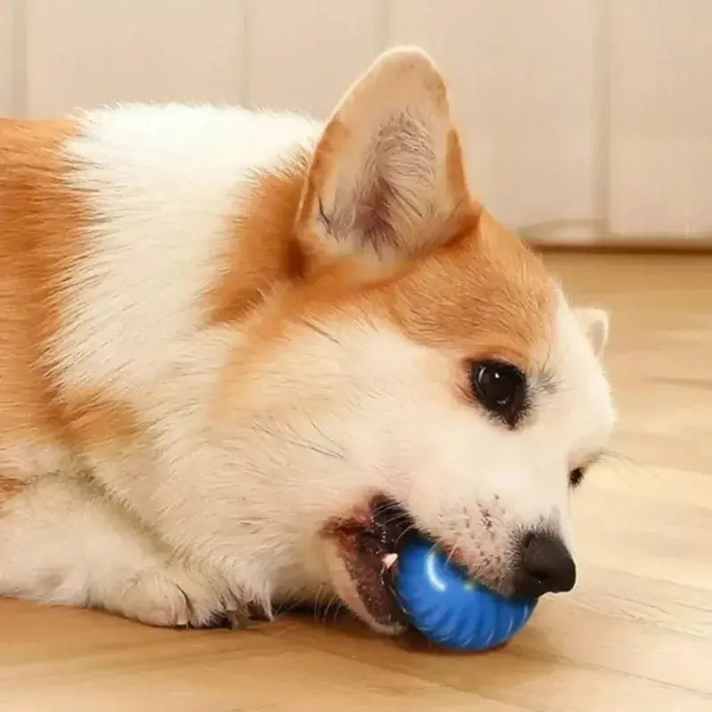 GlowBounce™ – Smart, Self-Playing Toy for Small Dogs