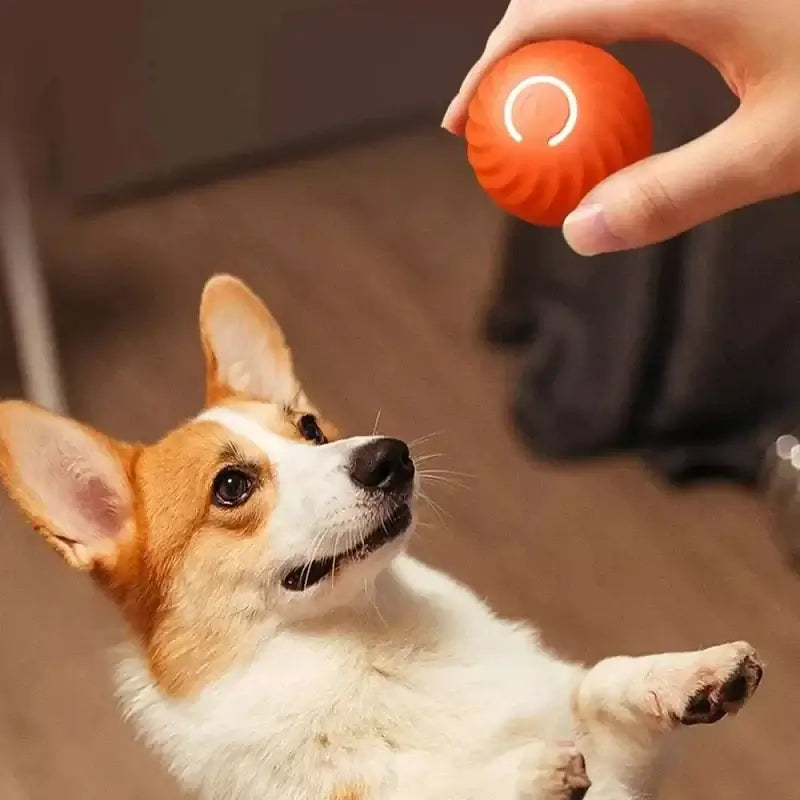 GlowBounce™ – Smart, Self-Playing Toy for Small Dogs