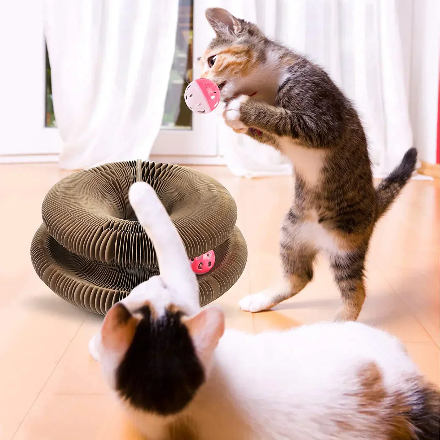 Active Fun for Your Cat β PurrPlay