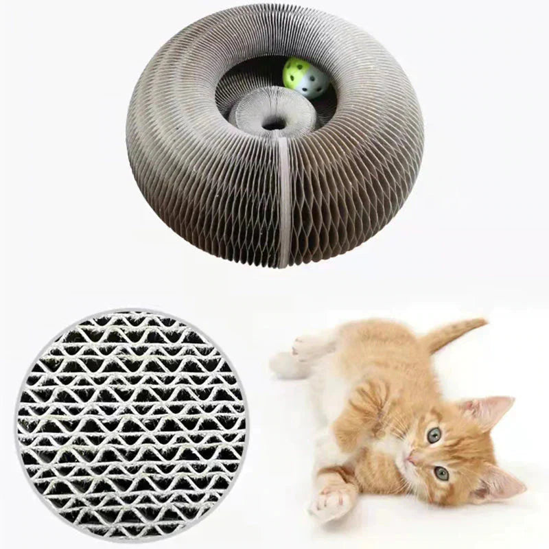 Active Fun for Your Cat β PurrPlay