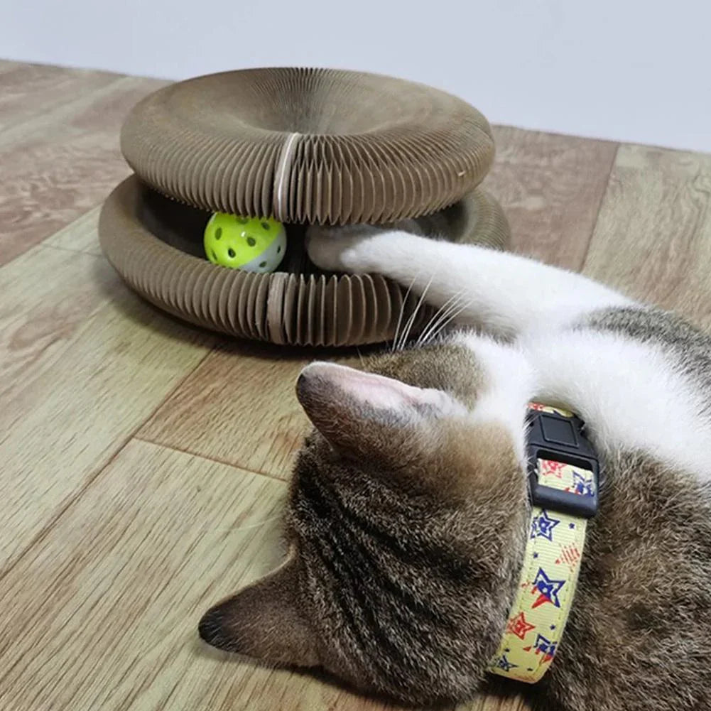 Active Fun for Your Cat β PurrPlay