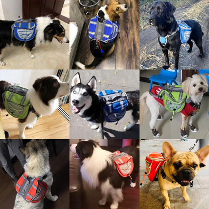 Pet Backpack Carrier