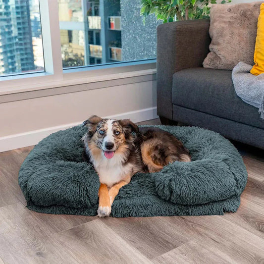 DreamPaw Orthopedic Dog Bed – The Perfect Sleeping Spot for Your Furry Friend