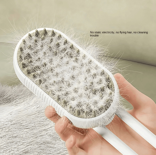PawMist™ 2-in-1 Steam Grooming & Massage Brush