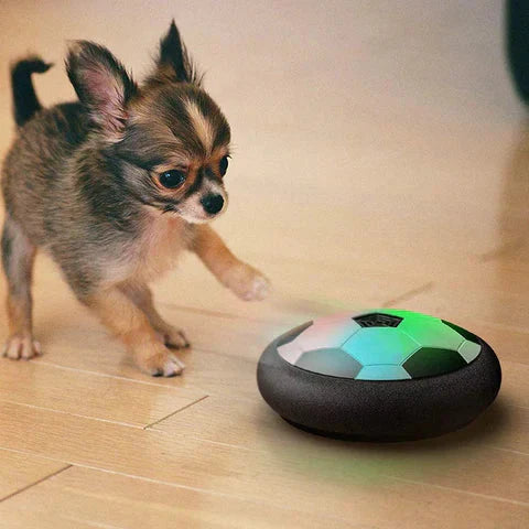 Interactive Dog Soccer Toy – KickFetch Pro