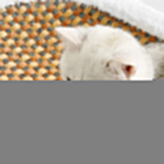 Luxury Scratch Cat Bed