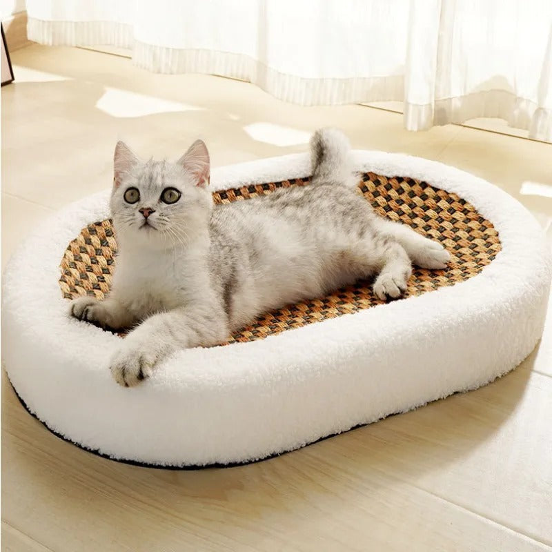 Luxury Scratch Cat Bed