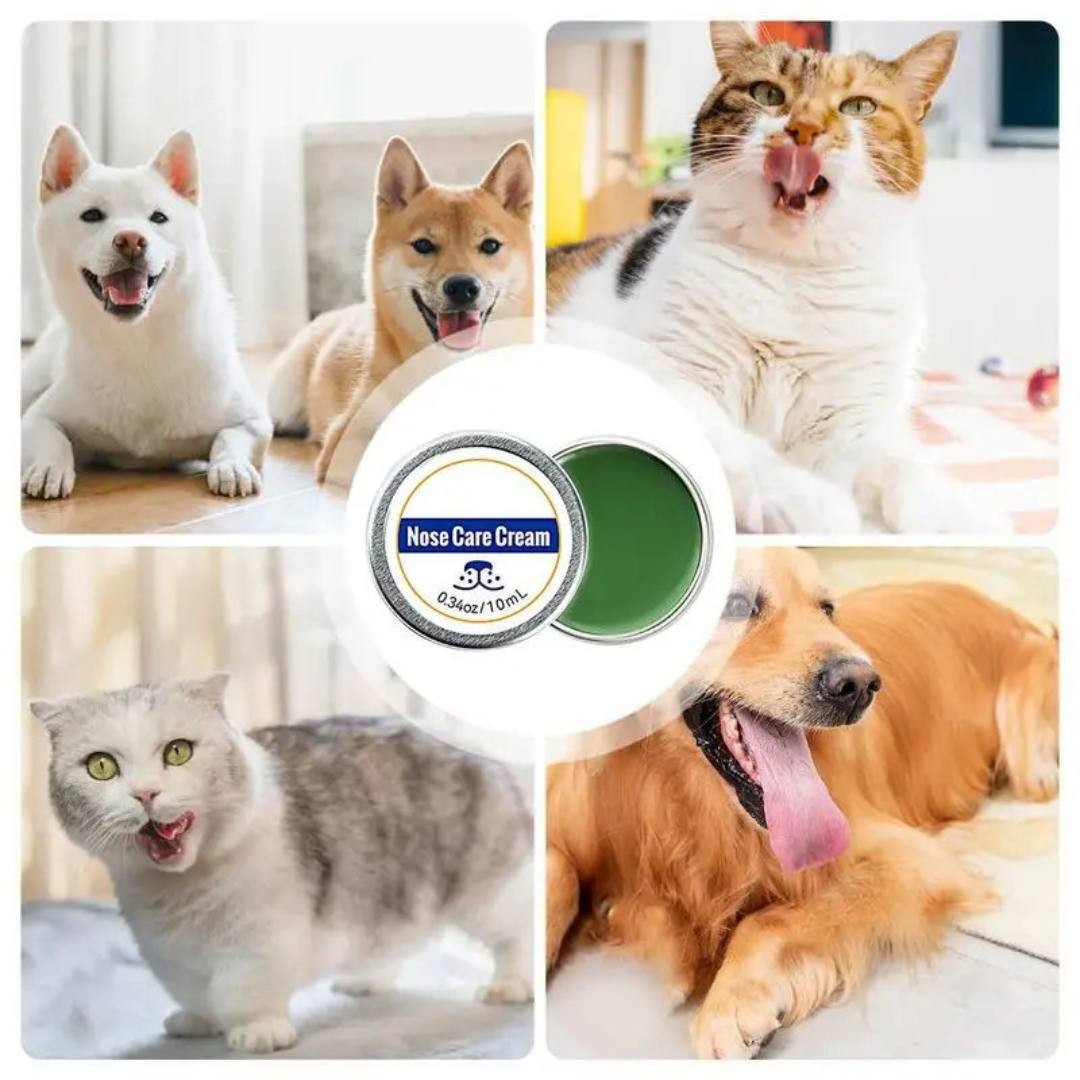 Care and protection cream for dog snouts